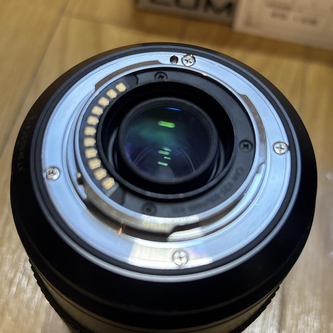 Panasonic LUMIX 100-300mm F4.0-5.6 ズームレン