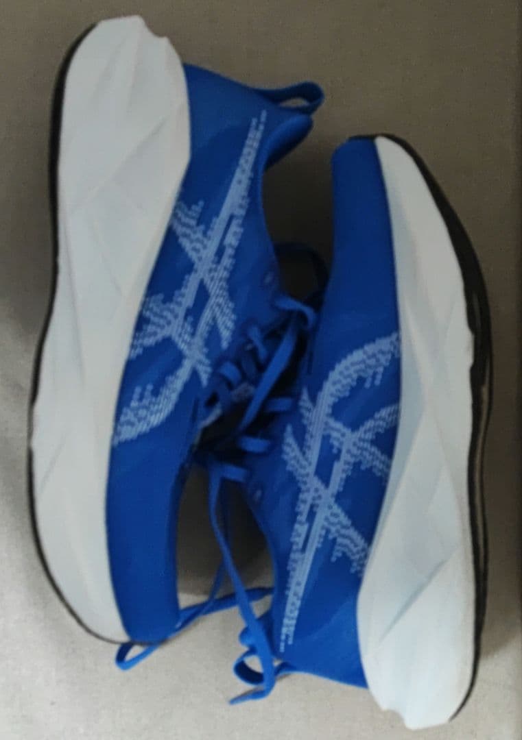 asics NOVABLAST5 24.5cmWIDE 3E箱あり