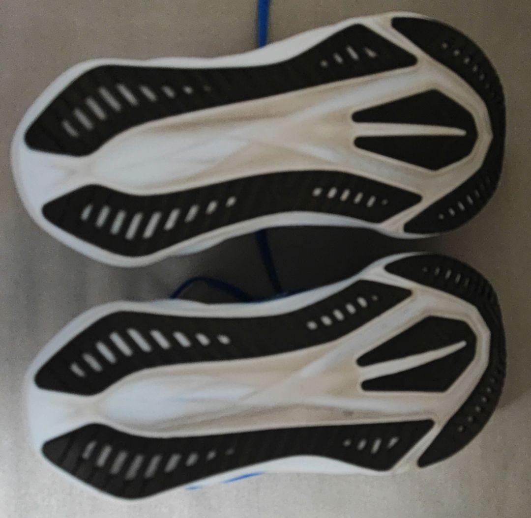 asics NOVABLAST5 24.5cmWIDE 3E箱あり