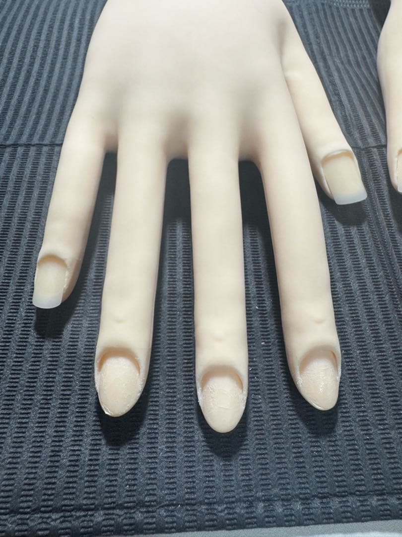 JNEC 認定モデルハンド 骨折なし