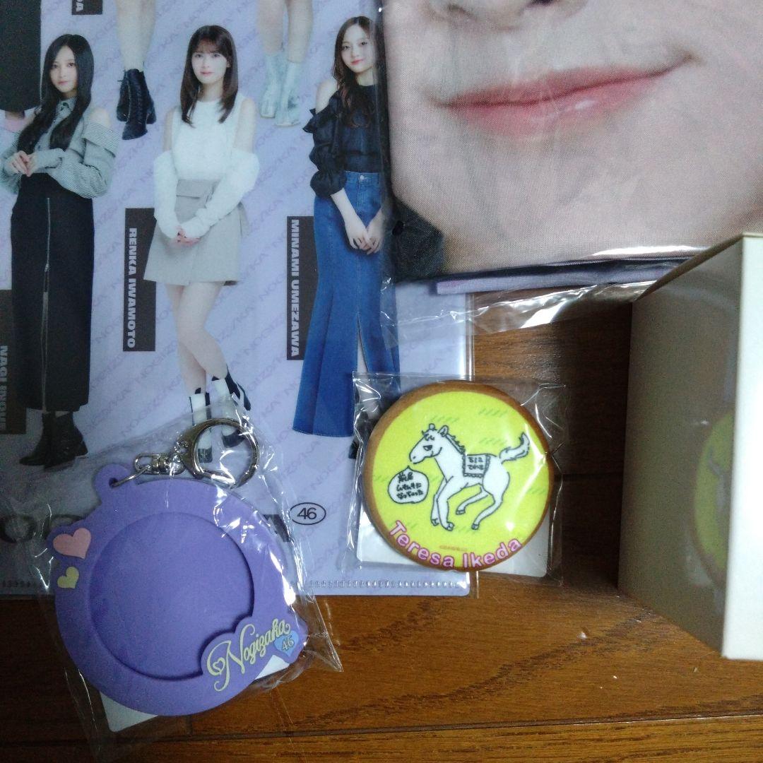 乃木坂46 池田瑛紗 福袋A Luckybag グッズのみ のぼり ペンライト