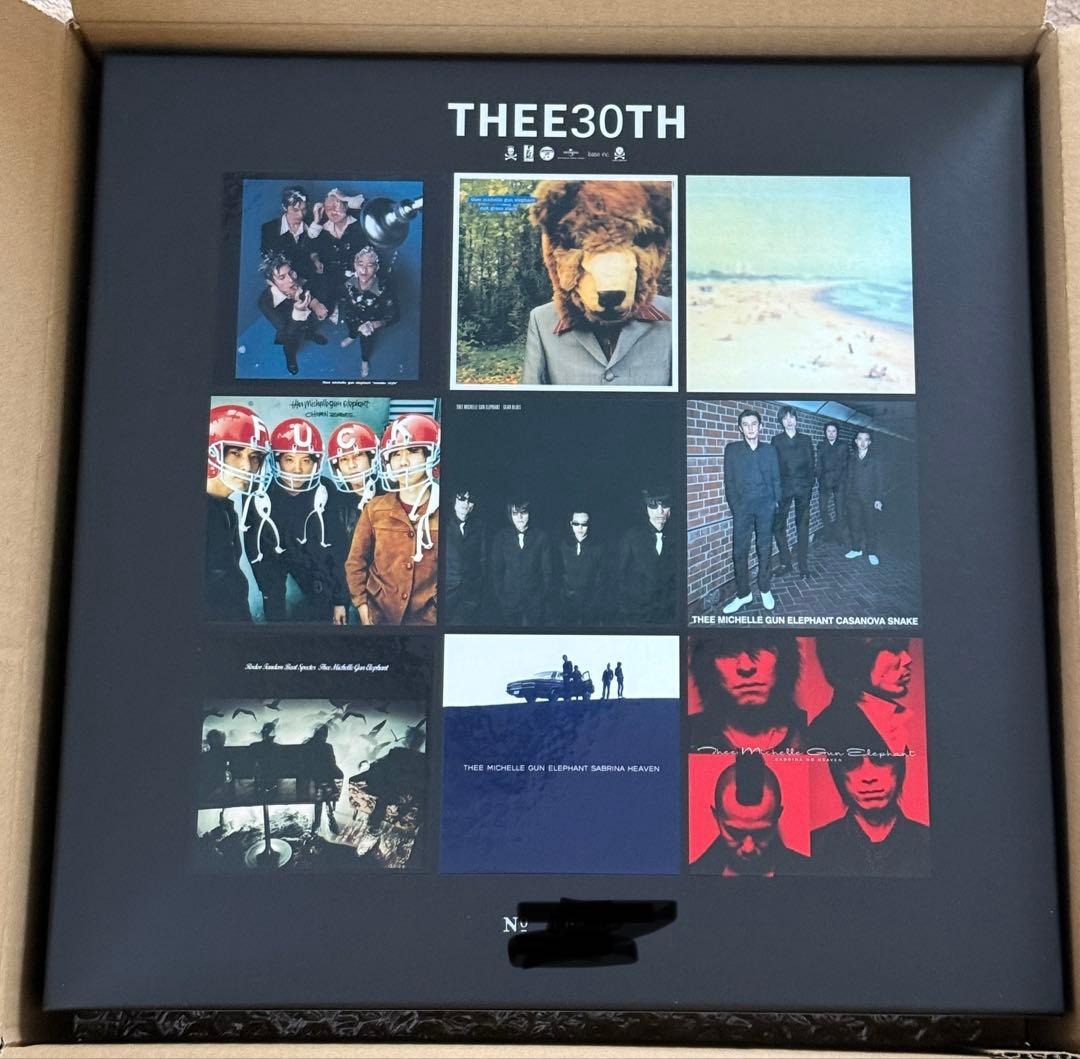THEE 30TH 500個限定 アナログ収納BOX - メルカリ