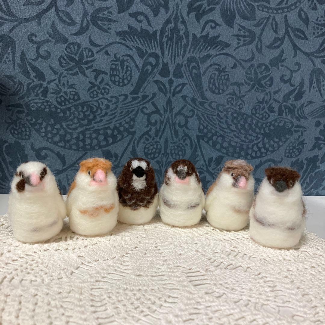 リクエストNO.2610☆十姉妹☆実物大☆6点セット