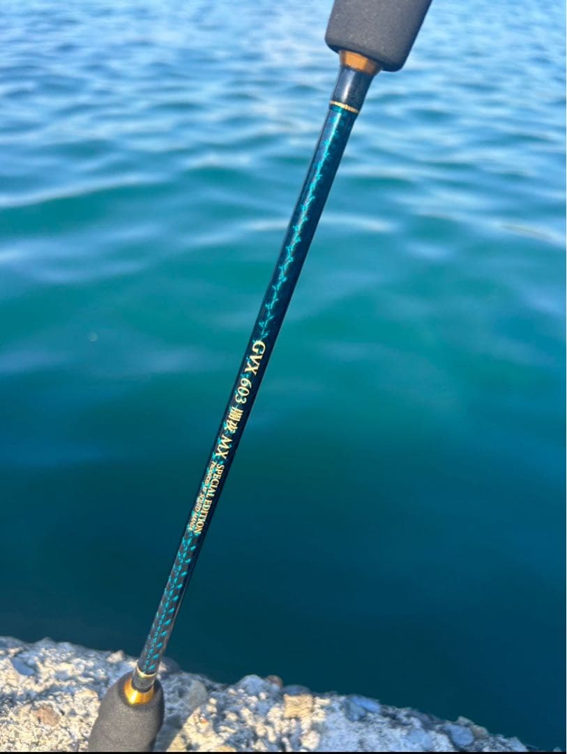 ZERO-G EVOLUTION GVX 603 闇夜 MX イカメタルロッド - メルカリ