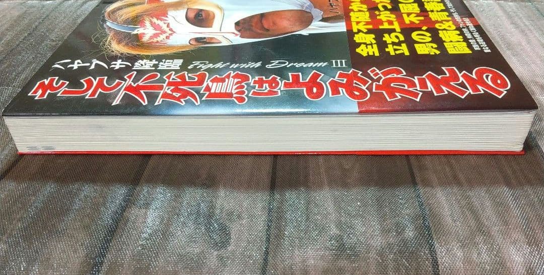そして不死鳥はよみがえる ハヤブサ降臨