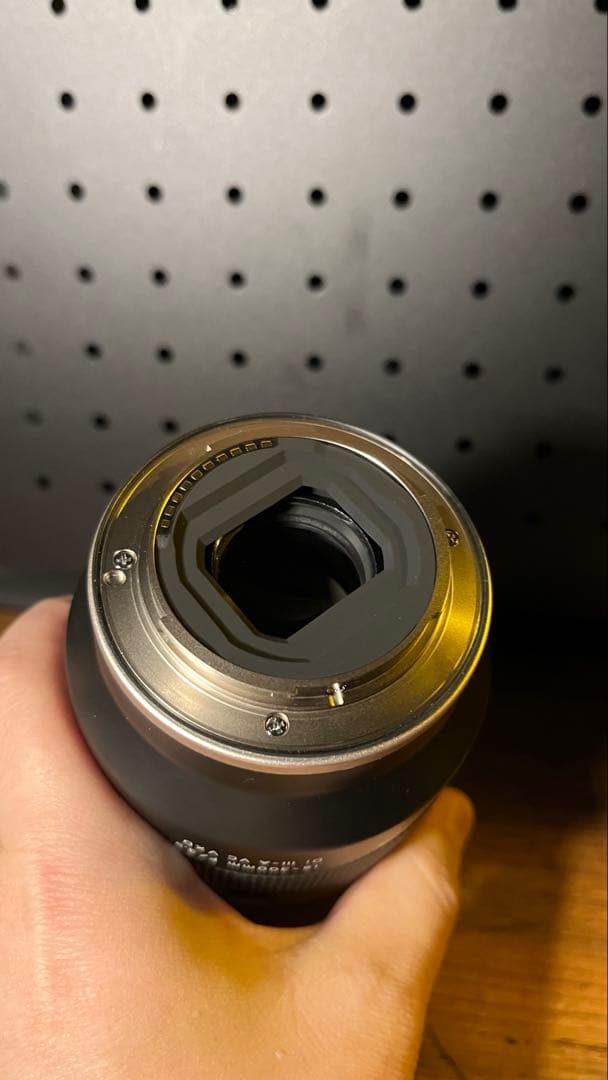 タムロン18-300mm F/3.5-6.3 Di III-A VC VXD E