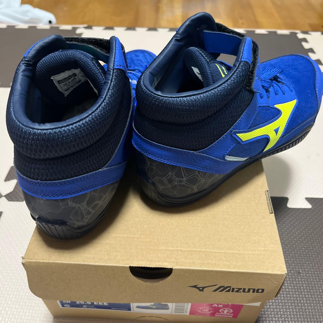 Mizuno ALMIGHTY SD II 13H 25.5cm 安全靴