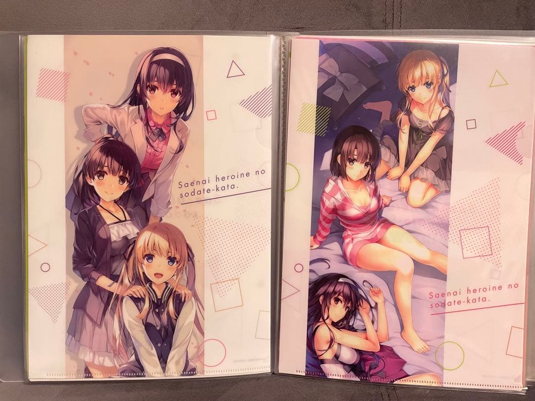 選択可能】冴えない彼女の育て方 クリアファイル(購入希望金額コメント