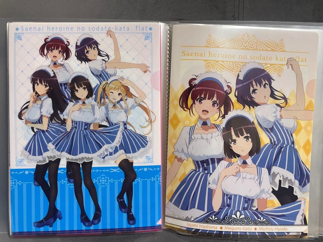 選択可能】冴えない彼女の育て方 クリアファイル(購入希望金額コメント