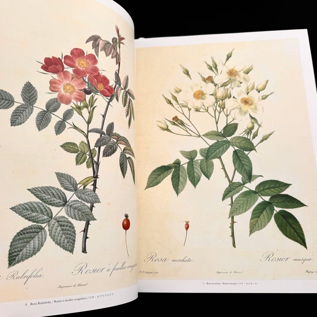ピエール=ジョゼフ・ルドゥーテ 画集「バラ図譜 Les Roses 」豪華愛蔵