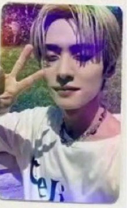 Stray Kids リノ MAXIDENT 中華 トレカ Amazon.co.jp: StrayKids MAXIDENT リノ トレカ 中華 中国 ヨントン