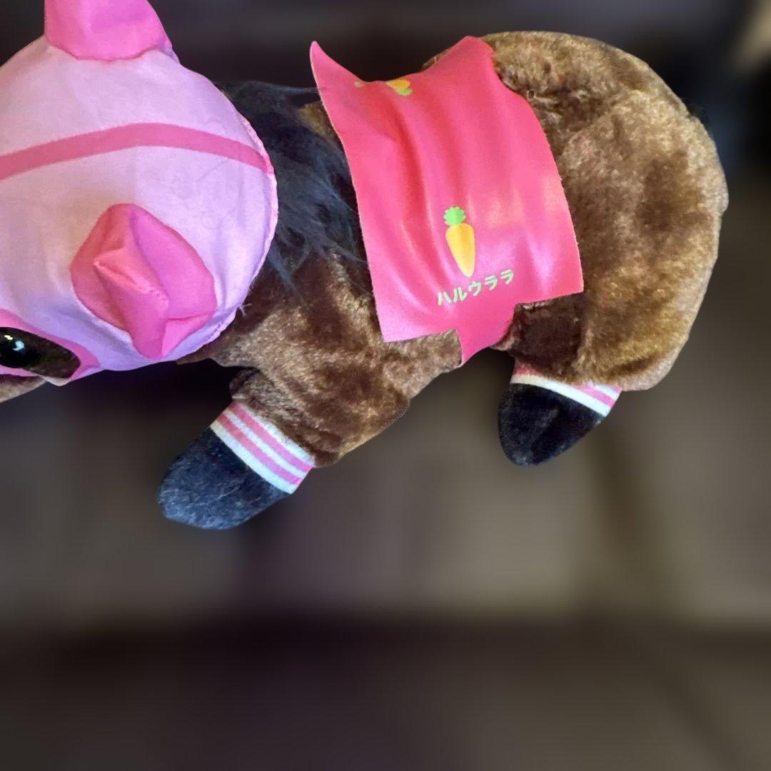希少♡高知競馬 ハルウララ ぬいぐるみ まとめ売り ピンク/にんじん