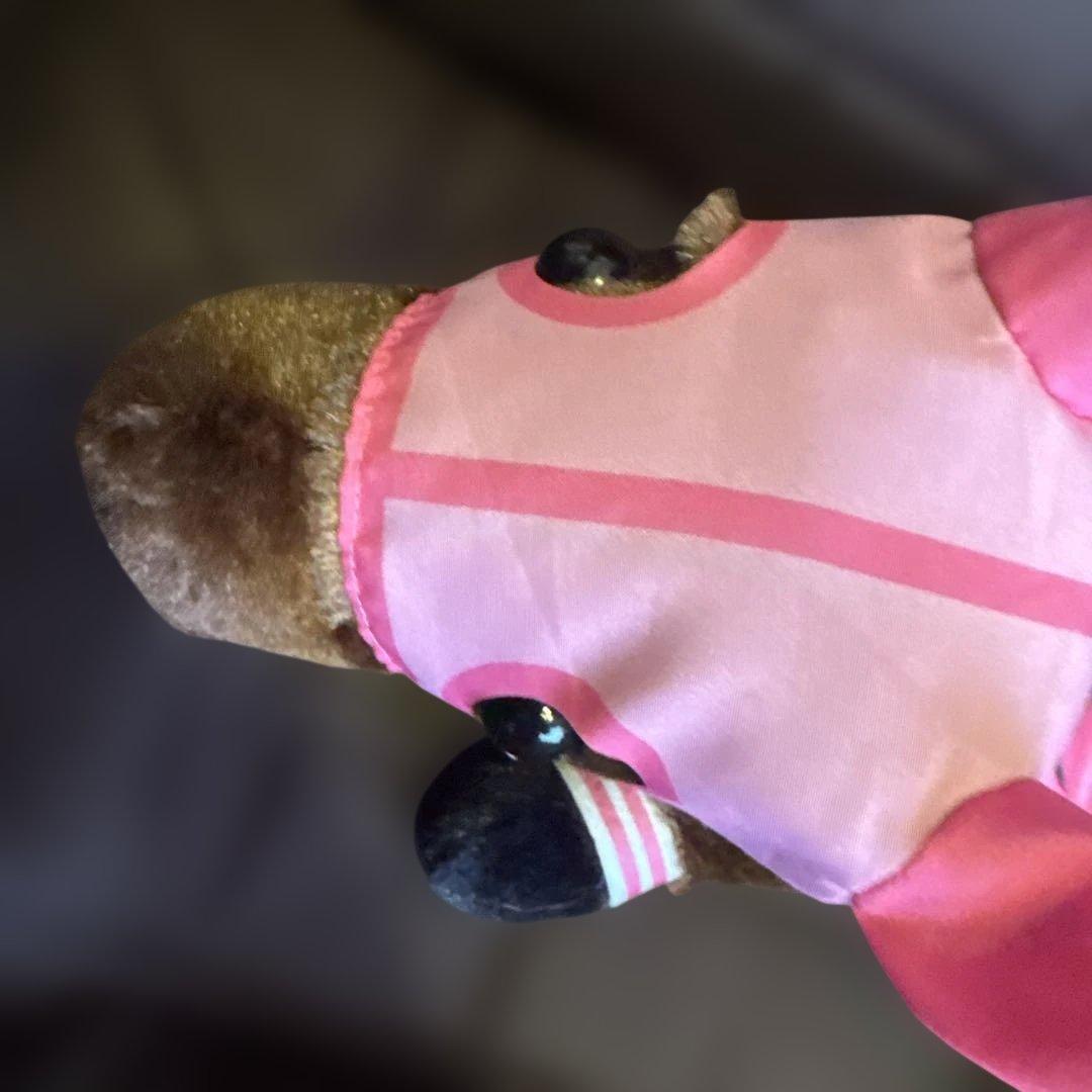 希少♡高知競馬 ハルウララ ぬいぐるみ まとめ売り ピンク/にんじん