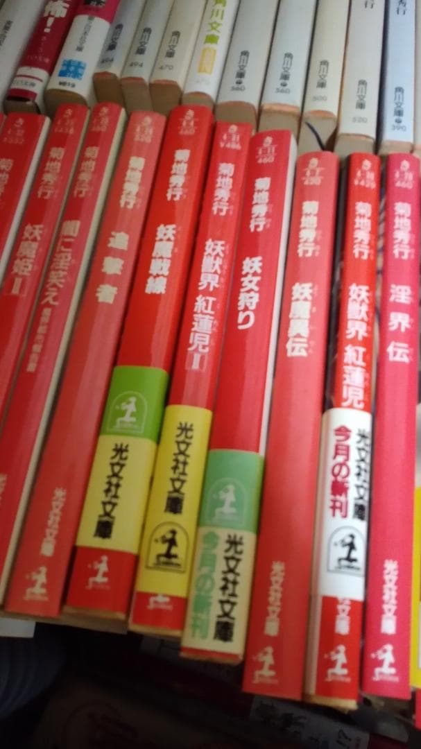 期間限定お値下げ！早い者勝ち！　菊池秀行さん　１１４冊セット