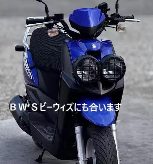 数量限定】PS250・US/Ruckus・BW'S デカ目 デュアルライトガード