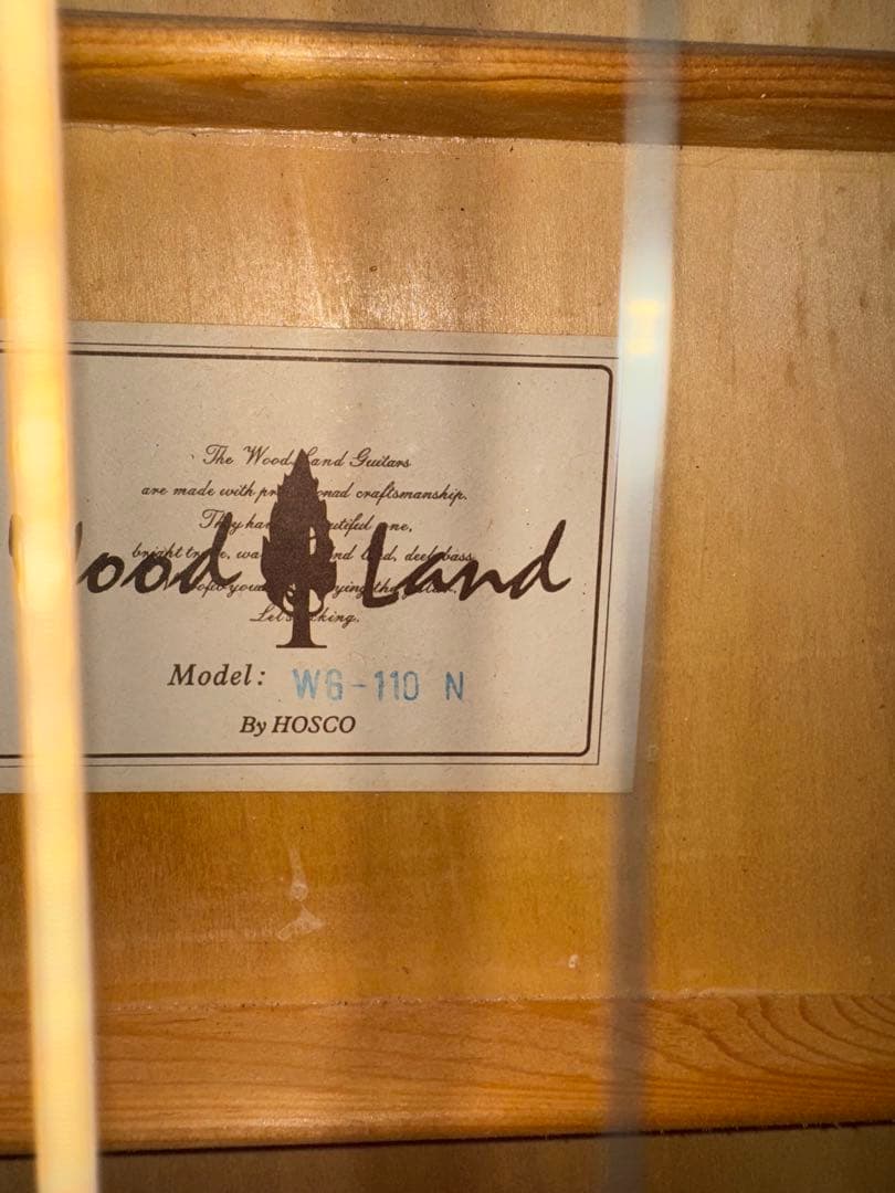 初心者の方必見‼️小振りなwood land‼️調整済み‼️弾き易くセッティング