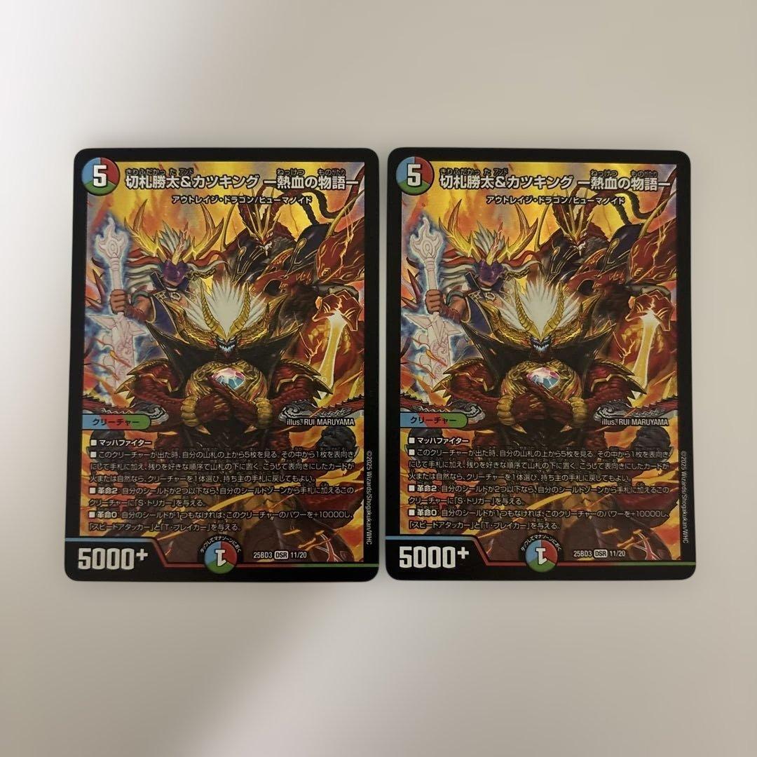 0224 切札勝太＆カツキング -熱血の物語- 2枚 - メルカリ