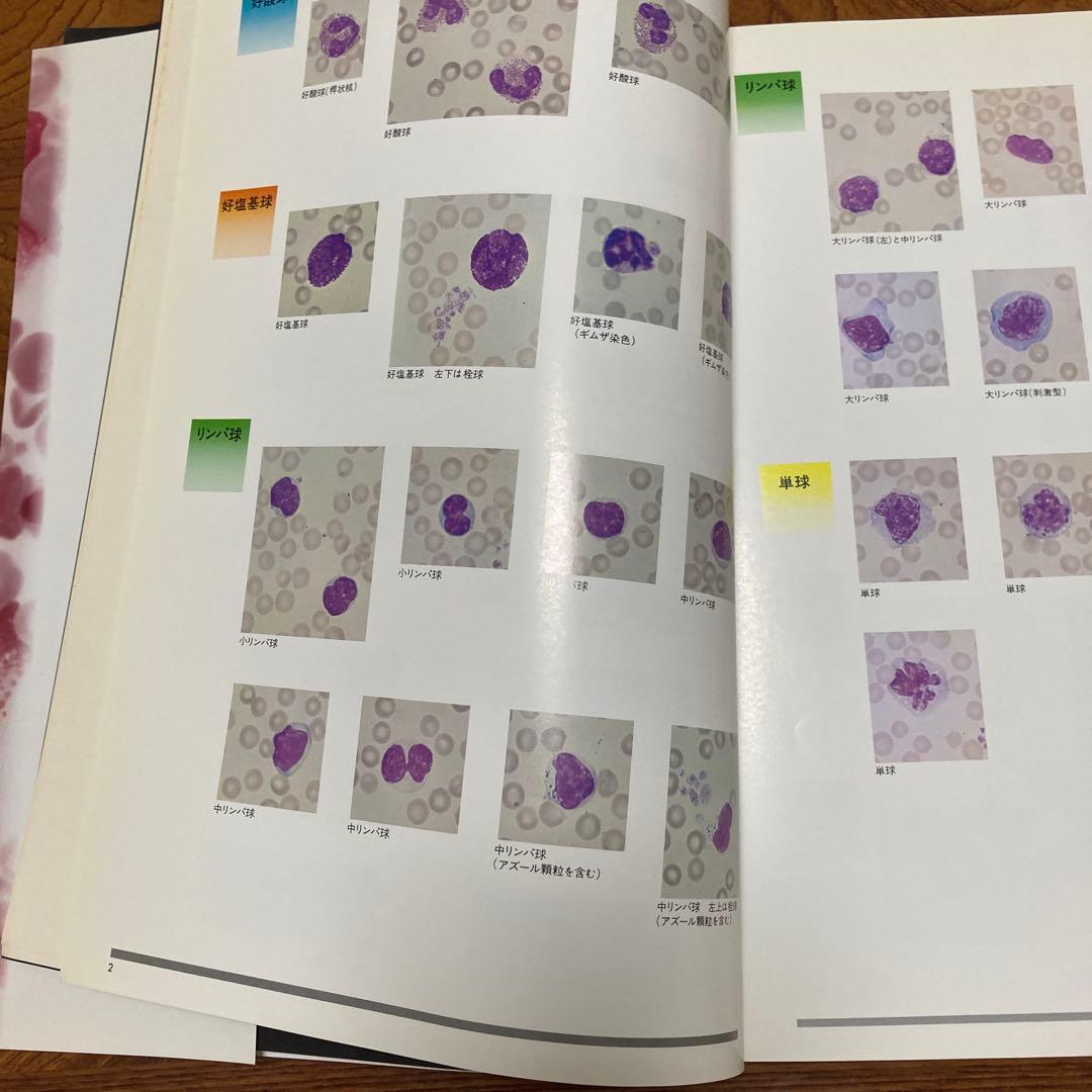 家畜血液図説 チクサン出版