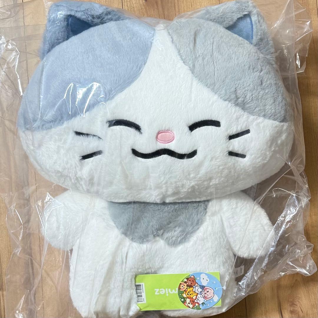 NCT DREAM Dreamiez フラットぬいぐるみ クッション チョンロ - メルカリ