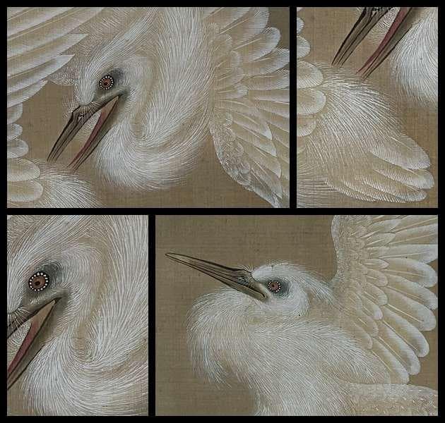 江戸中期絵師円山応挙(圓山應擧) 『白鷺之図』絹本肉筆 掛軸2重共箱