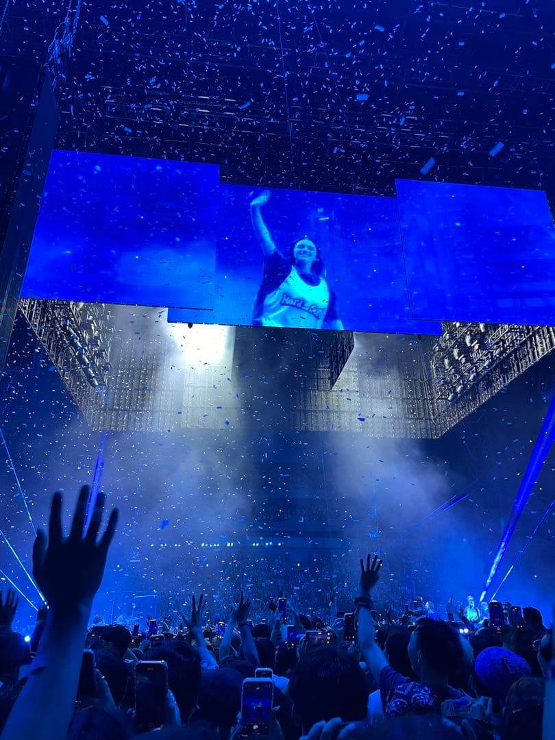 日本限定1000枚 Hit me hard and soft ビリー 紙吹雪 - メルカリ