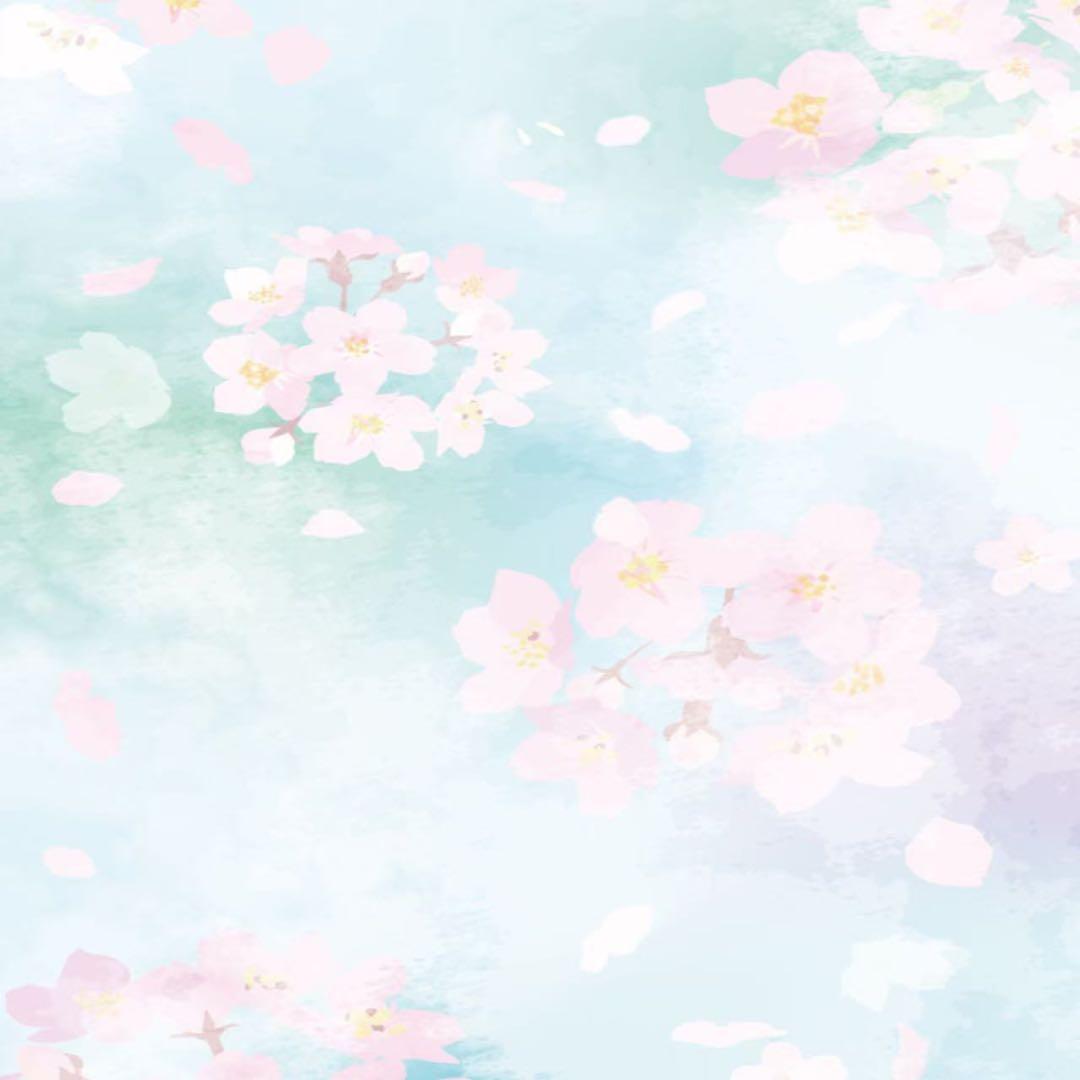 McCoyマッコイ マクセリー エッセンスクリーム 30g - メルカリ