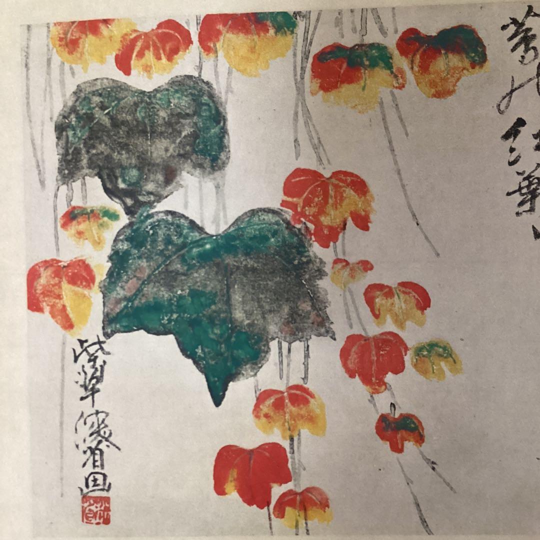 尾形乾山筆　《蔦　紅葉図》　大塚巧藝社製　紙本掛軸　共箱　タトウ箱　　571