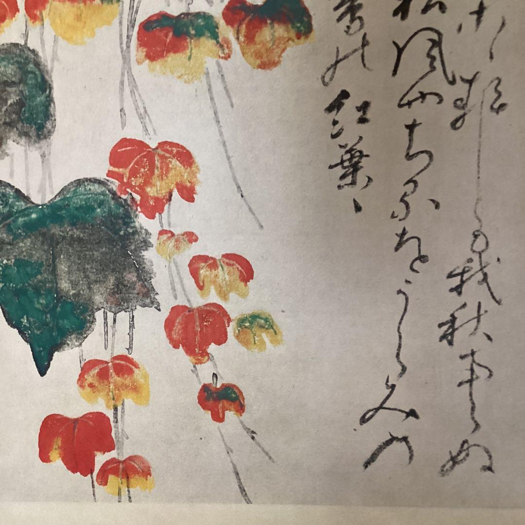 尾形乾山筆　《蔦　紅葉図》　大塚巧藝社製　紙本掛軸　共箱　タトウ箱　　571