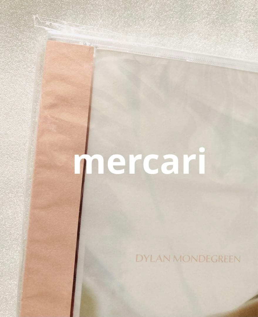 DYLAN MONDEGREEN ディラン・モンドグリーン アルバム2枚