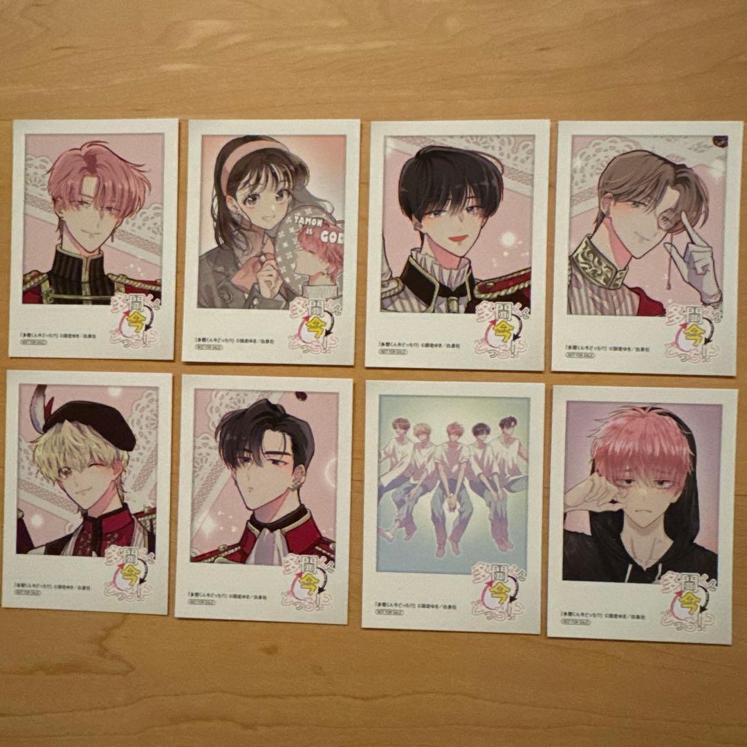 多聞くん今どっち！？ アニメイト 特典 ミニフォトカード 8枚 非売品