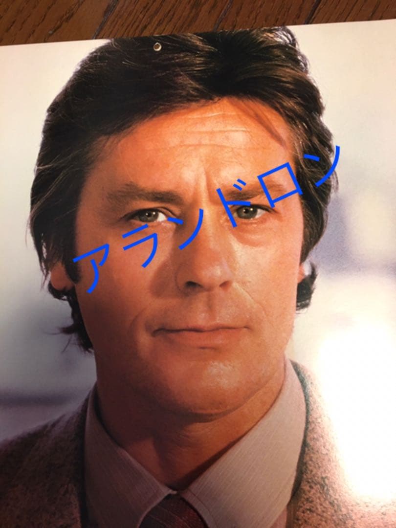 貴重】アランドロン ダーバンカレンダー 1981 - メルカリ