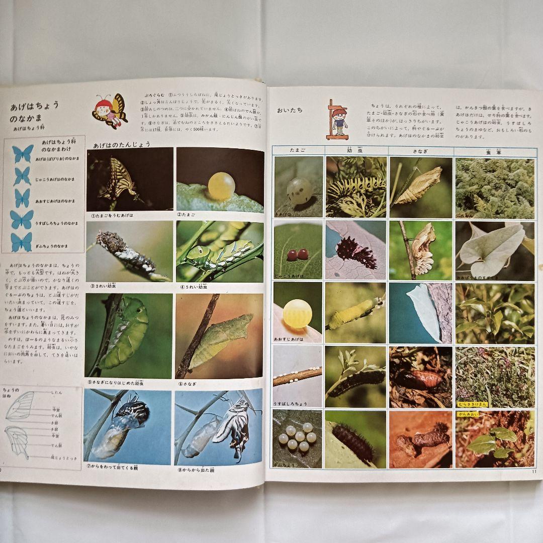 講談社 こどもカラー図鑑 全13巻セット 昭和レトロ - メルカリ