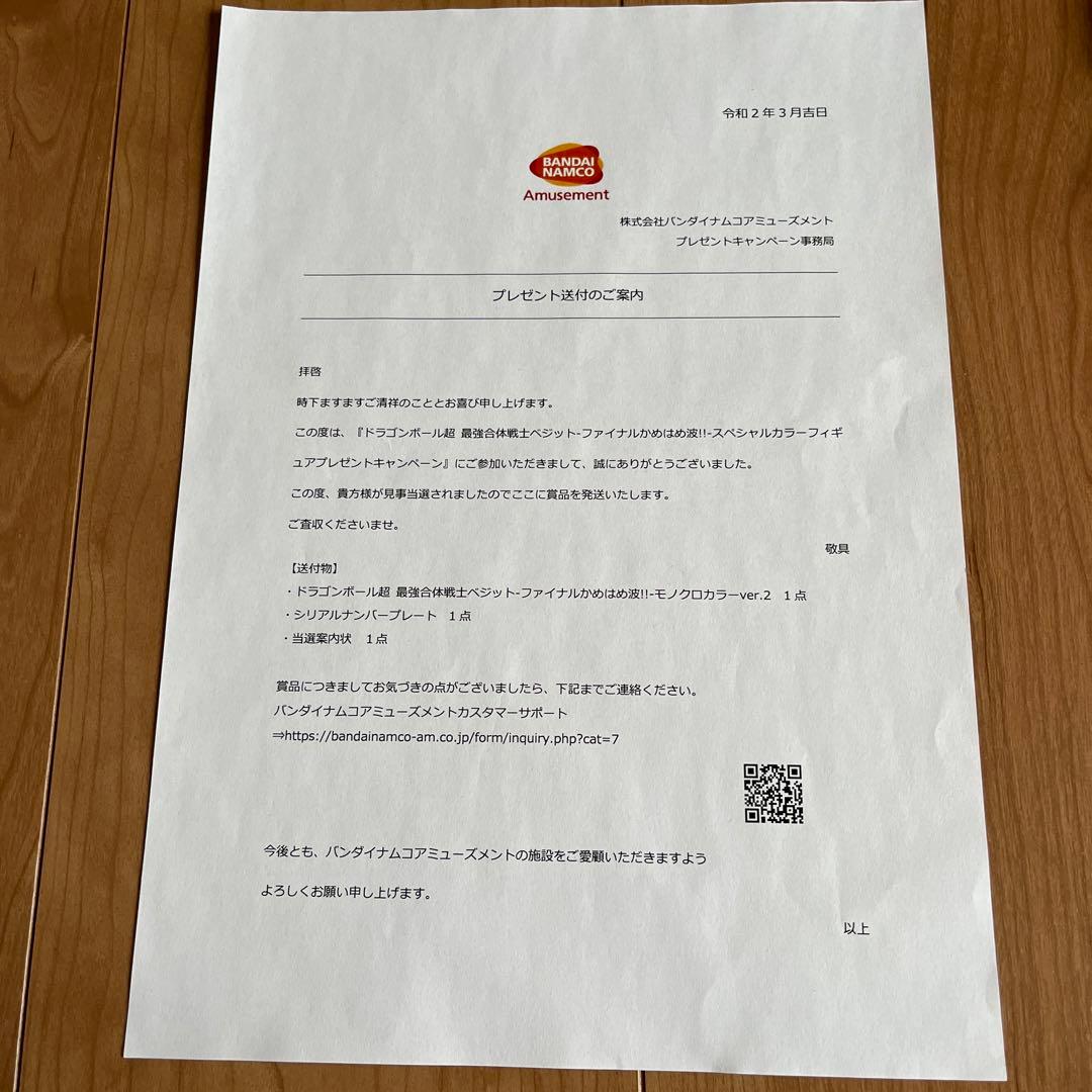 破格！！最強合体戦士ベジット-ファイナルかめはめ波!!-モノクロカラー