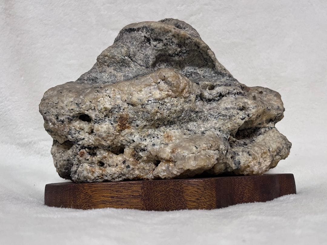 南極の石（約60年前のもの） - メルカリ