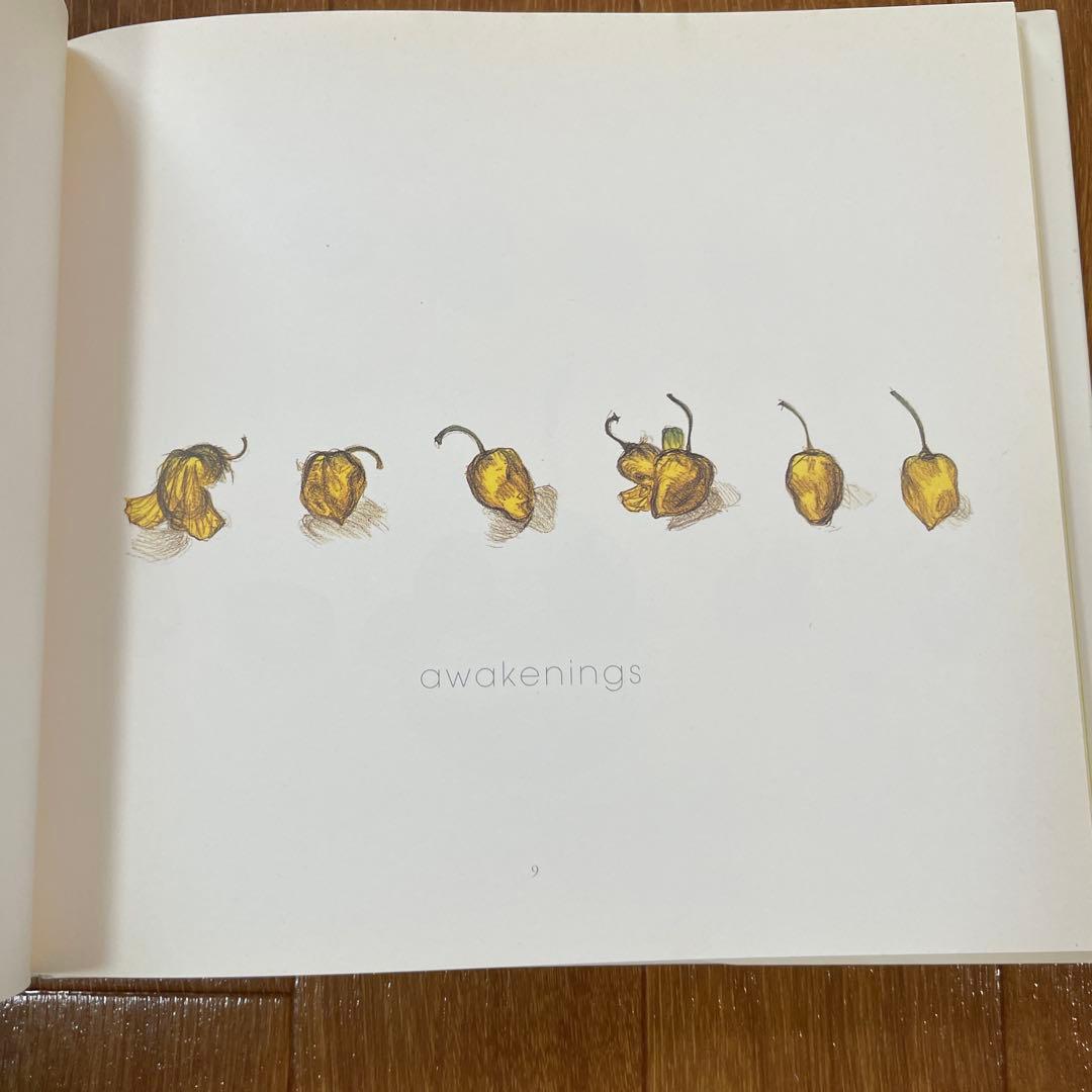 直筆サイン入り】「N.Y. SALAD」天野喜孝 - メルカリ