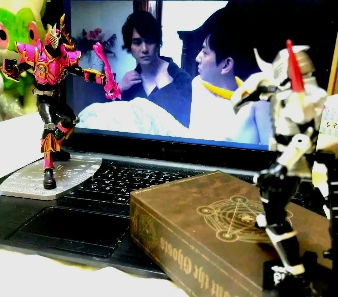 ARTWORKS 仮面ライダー 龍騎 ライアサバイブ - メルカリ