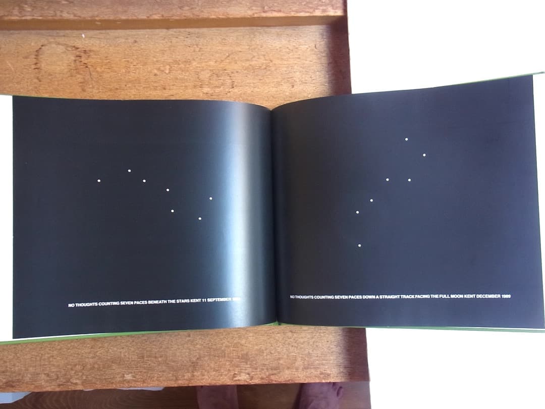 BIRD SONG /HAMISH FULTON ハミッシュフルトン（サイン本） - メルカリ