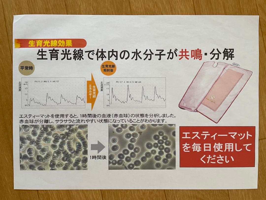 ホルミシスザブティマット 遠赤外線 値下げします！ - メルカリ