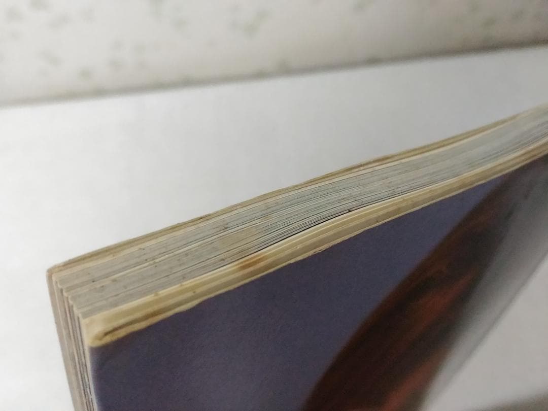 BACKLIT BY THE MOON バックリットバイザムーン 写真集