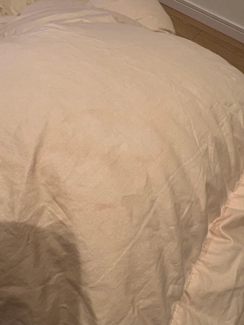 ハンガリーグースダウン95% ハンドピックドイツ製 シングル 1.1k シングル