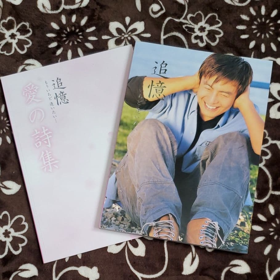 DVD 追憶 もういちど逢いたい…大きな外ケース