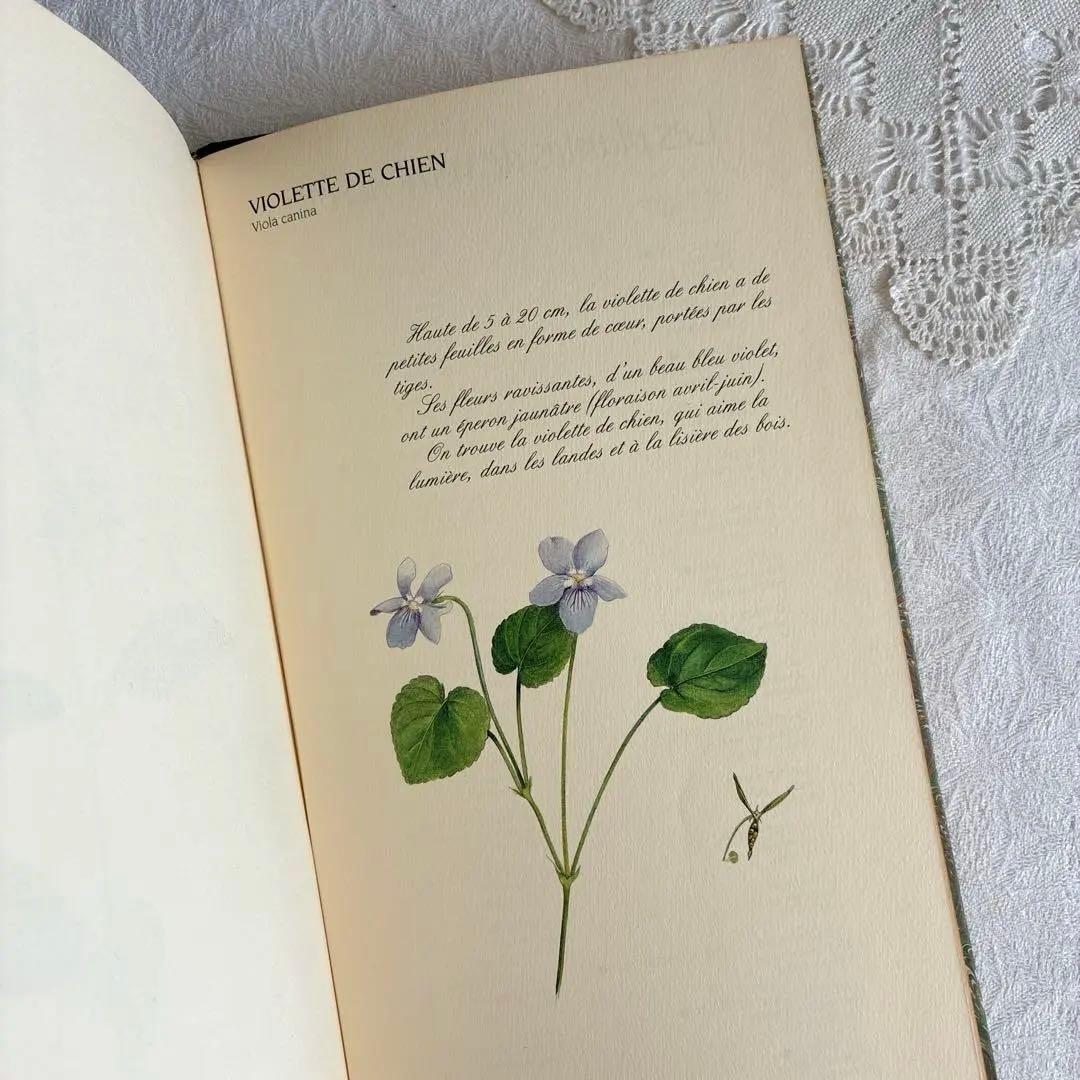 【希少・美品】1990年 美しいフランス植物図鑑　ナタン社　NATHAN 2026年最新】植物図鑑 アンティークの人気アイテム - メルカリ
