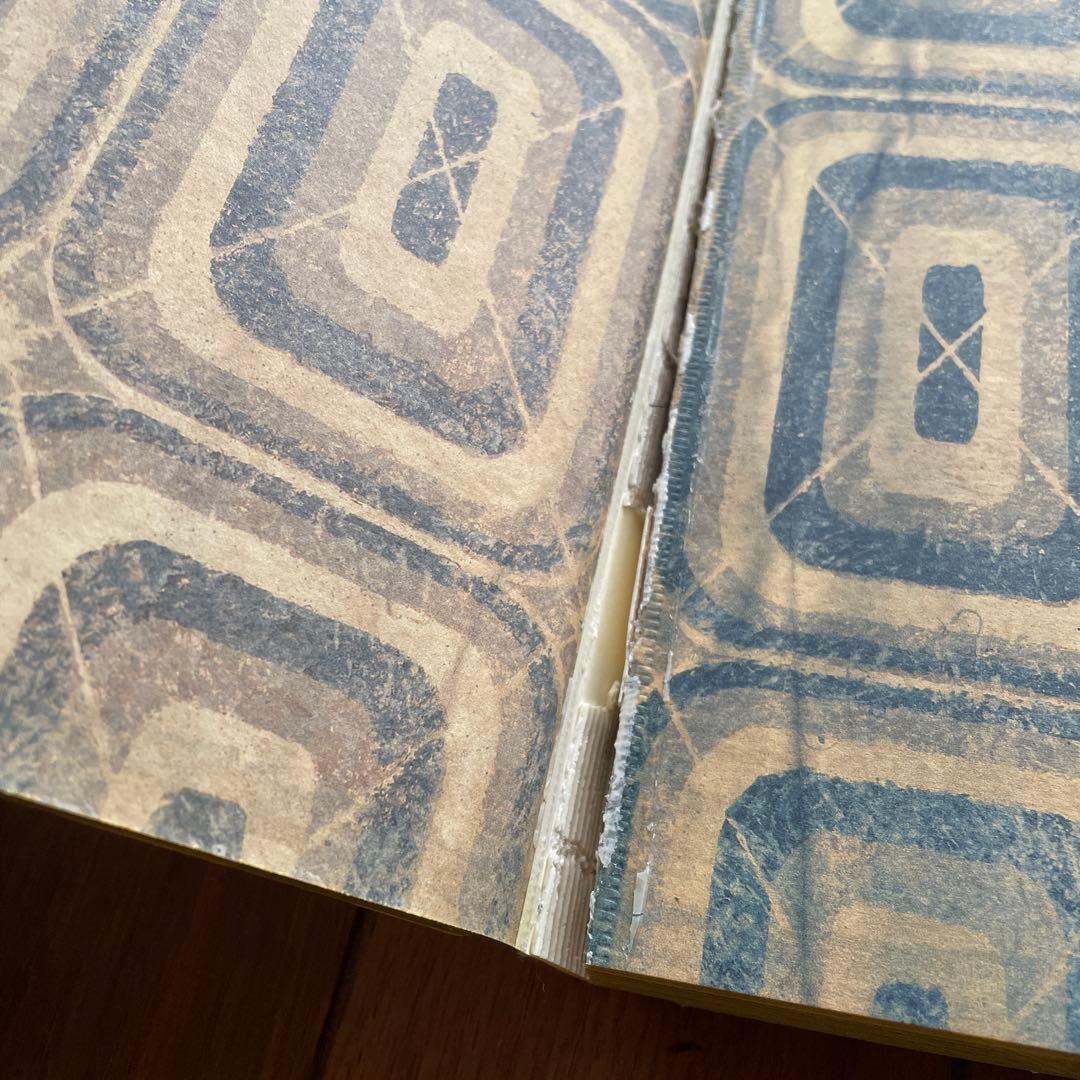 春光乍洩 / happy together /ブエノスアイレス 写真集