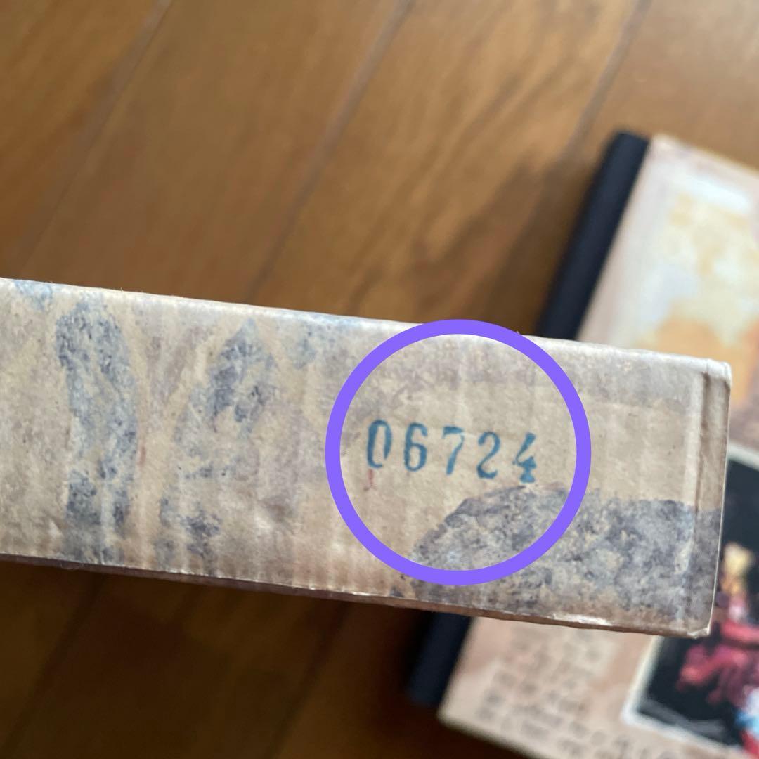 春光乍洩 / happy together /ブエノスアイレス 写真集