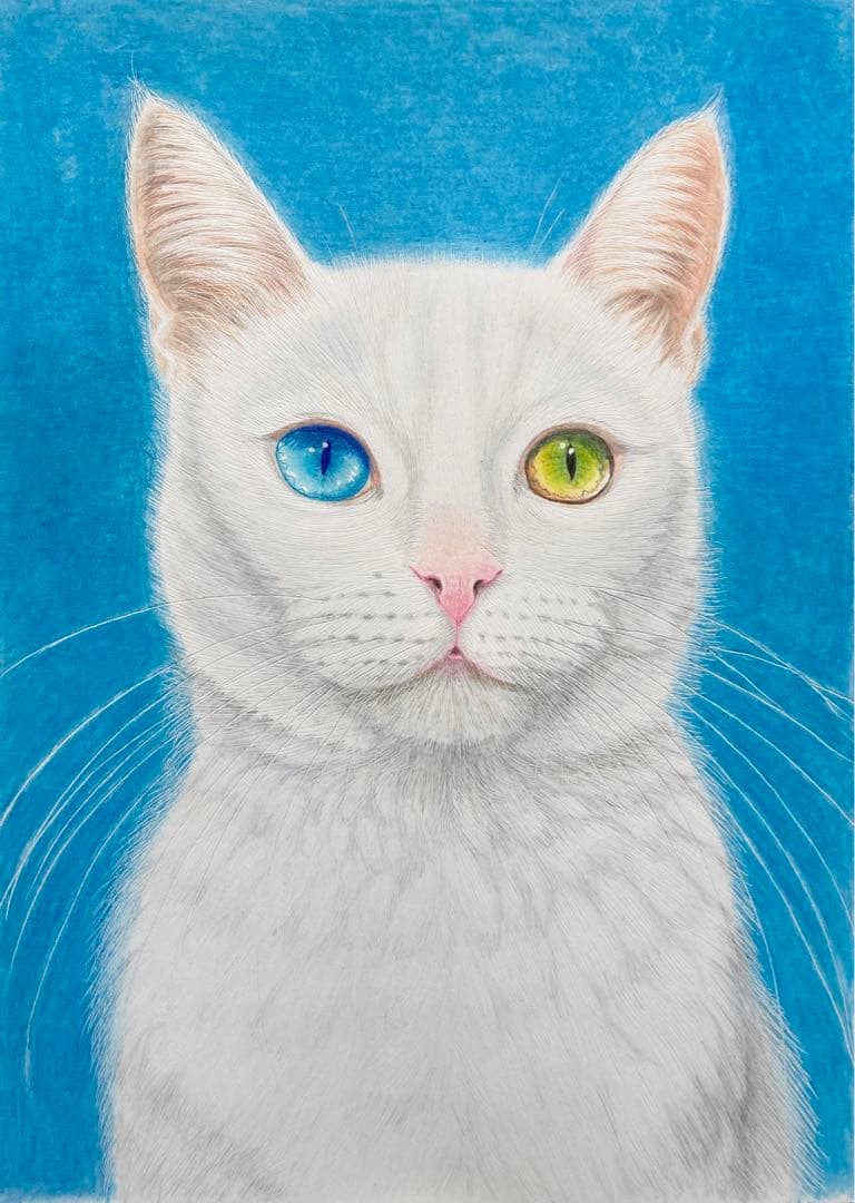 猫の絵 色鉛筆画 白猫 幸せを呼ぶと言われるオッドアイ - メルカリ