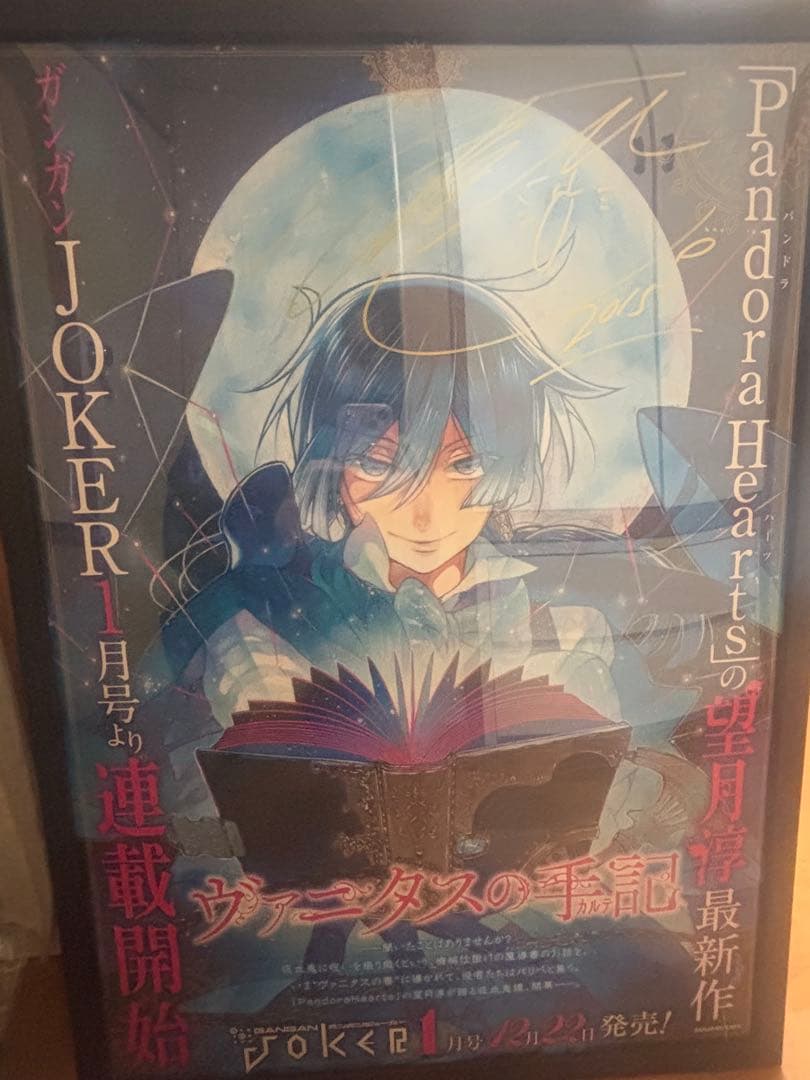 ヴァニタスの手記直筆サイン入りポスター 望月淳 直筆サイン本「ヴァニタスの手記」6巻