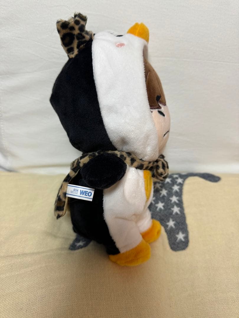 2PM JUNHO ジュノ イップニ ドール 20cm 2pm ジュノドール20 センチ