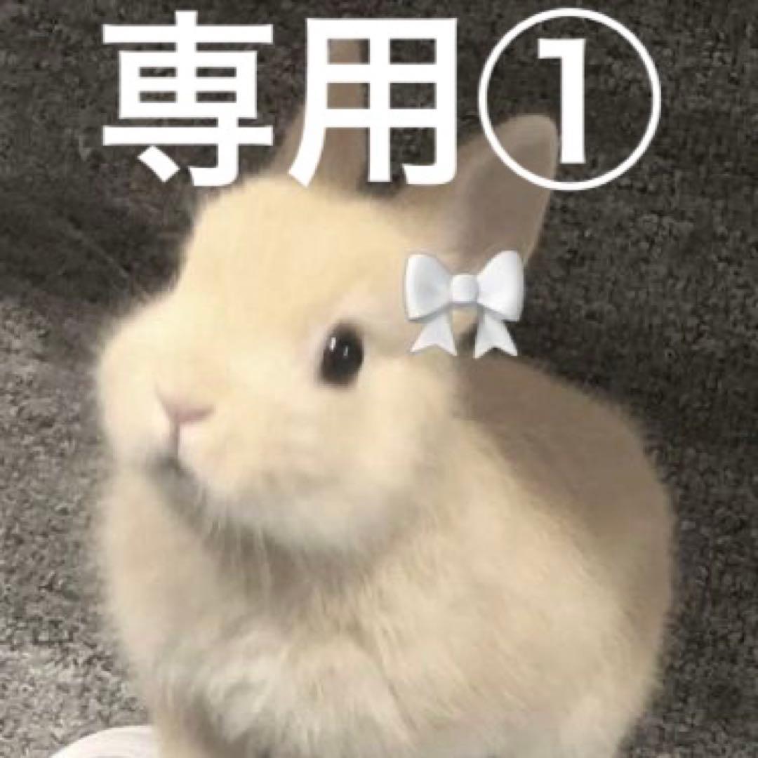 うさぎページ① うさぎのしっぽ通販は、『クリアフロント60』を全国へお届け