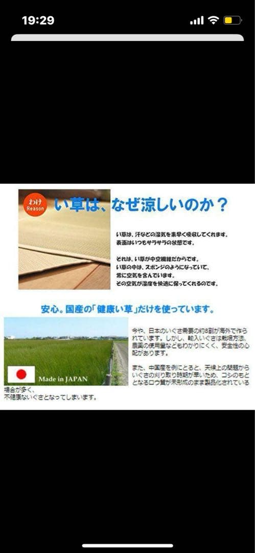 c*3様 添島勲商店 国産 い草花ござ 掛川織り 「最上川」 江戸