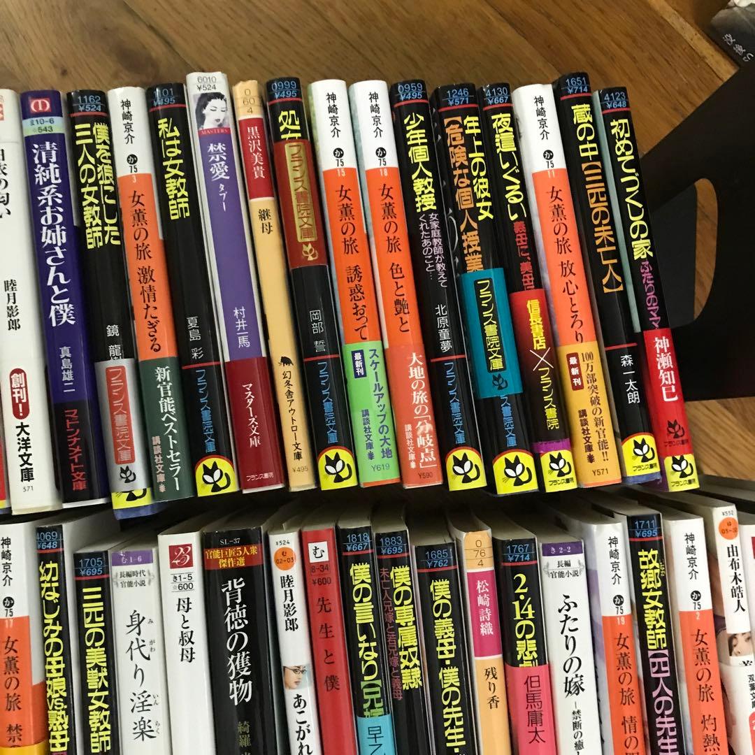 官能小説まとめ売り⑧ 66冊　フランス書院その他あり